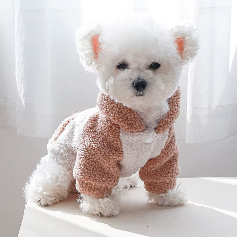 petit chien blanc assis avec son manteau en peluche