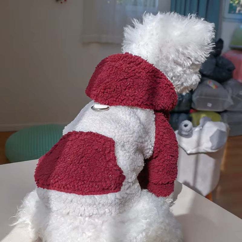 chien-blanc-avec-un-pull-en-peluche