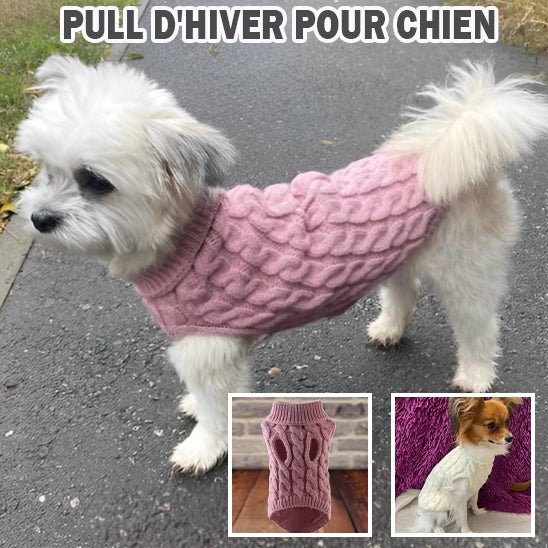 Pull pour chien - TricoDouâą - PuppyDog Zone