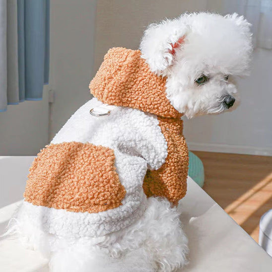 petit-chien-assis-avec-un-pull-en-peluche-blanc-et-caramel