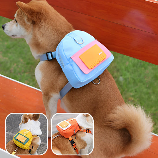 un-chien-moyenne-taille-assis-sur-un-banc-de-parc-il-porte-un-harnais-sac-à-dos-bleu