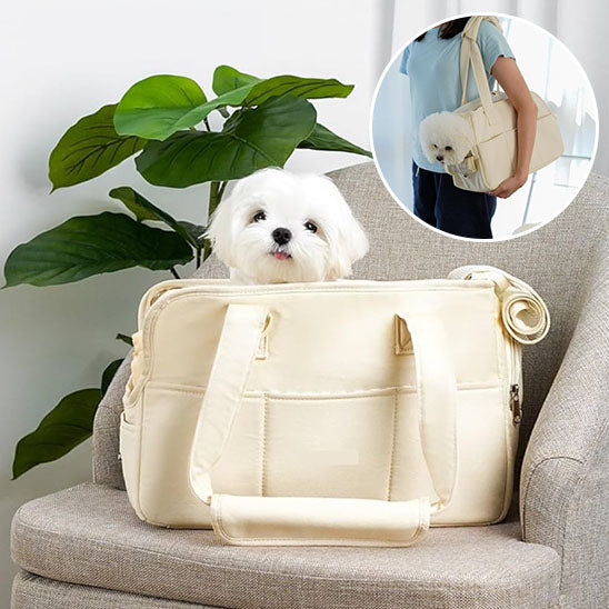 un-bichon-maltais-posé-sur-un-fauteuil-dans-un-sac-de-transport-beige