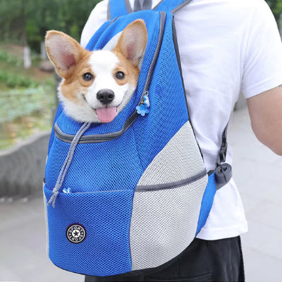 un-maitre-et-son-chien-dehors-et-le-maitre-a-son-chien-dans-un-sac-de-transport-bleu-dans-son-dos
