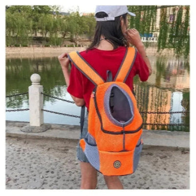 une-fille-regrade-un-lac-et-nous-montre-un-sac-de-transport-pour-chien-avec-les-bretelles-large-couleur-orange-et-gris
