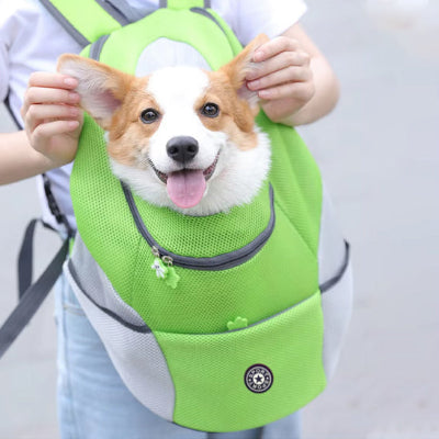 un-chien-corgi-qui-se-fait-caresser-les-oreilles-dans-un-sac-de-transport-vert-au-devant-de-son-maitre