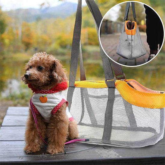 un-petit-caniche-brun-assis-à-coté-de-son-sac-de-transport-posé-sur-une-table-de-pic-nic-et-le-chien-porte-un-t-shirt-blanc-et-rouge