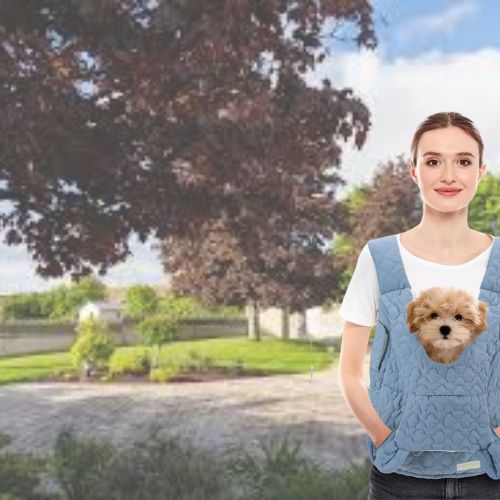 une-femme-qui-se-promĂšne-dans-un-parc-avec-devant-elle-un-petit-chien-brun-dans-un-sac-en-tissu-bleu