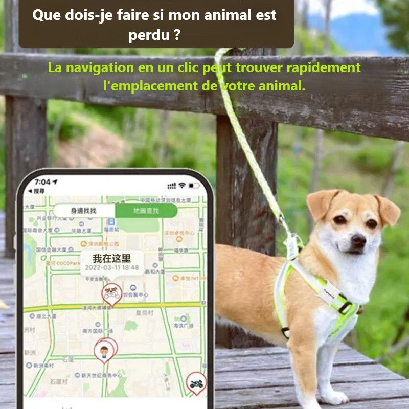 Traceur GPS chien