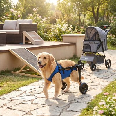 Fauteuil roulant pour chien – Aides à la mobilité