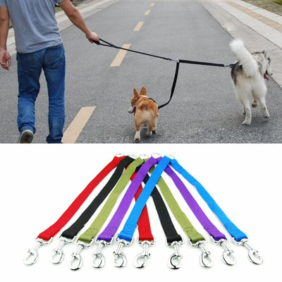 Laisse pour chien