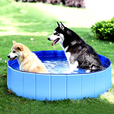 Jeux pour chien - Extérieur