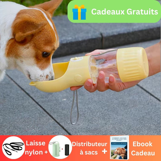 Gourde pour chien - Drink Food
