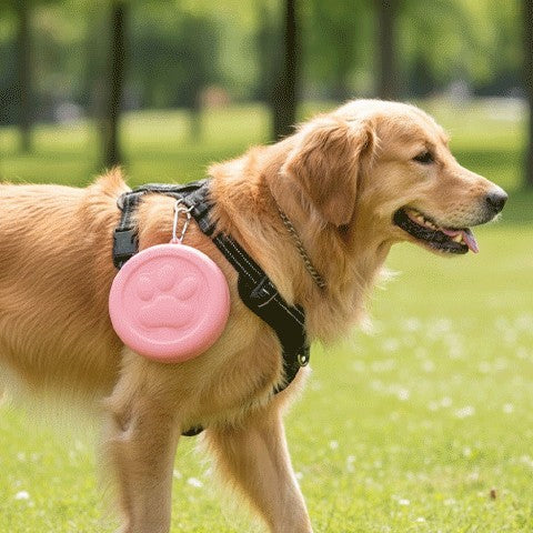 Gamelle pour chien accrochée au harnais d'un golden retriever à l'extérieur