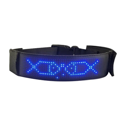 Collier lumineux chien | Texte personnalisé