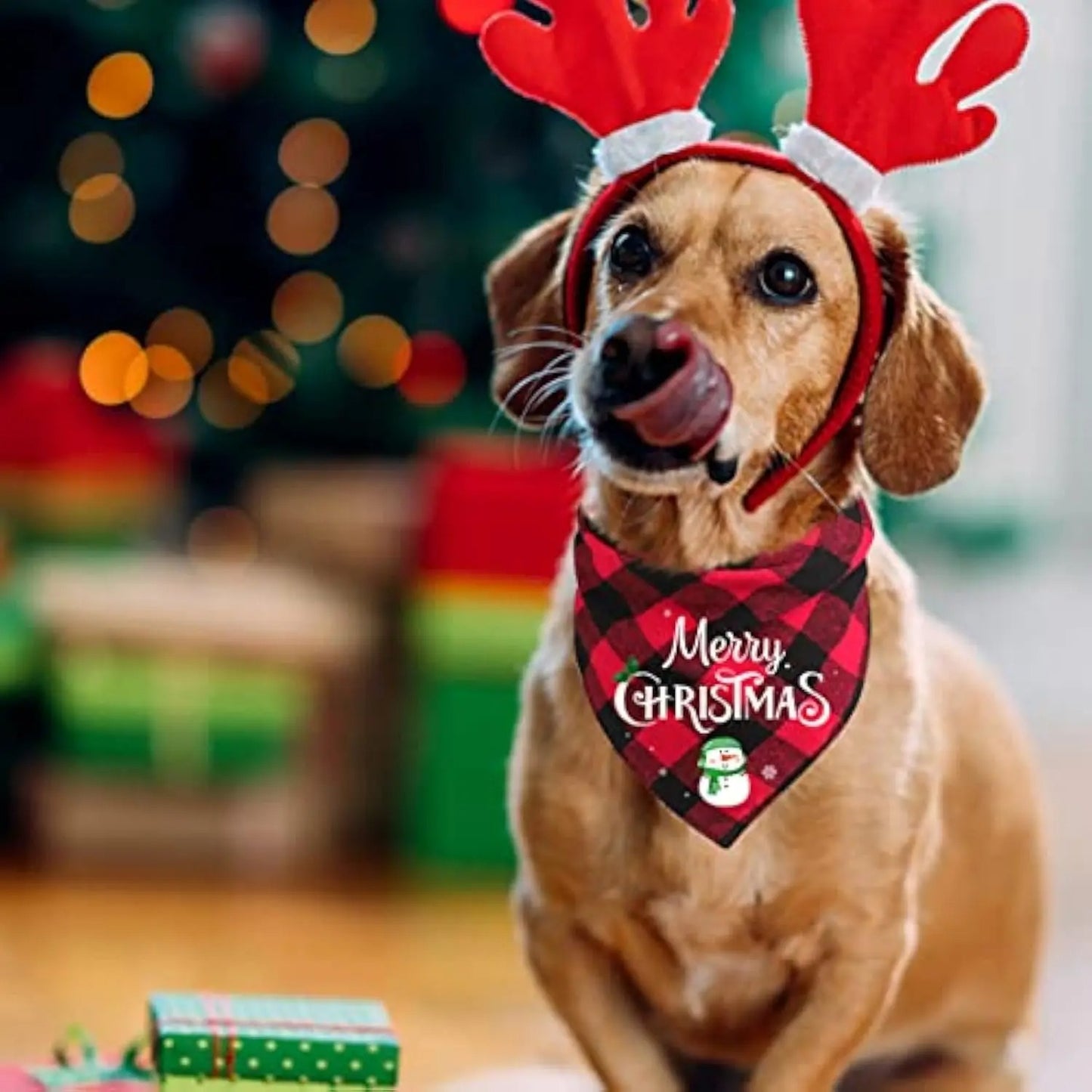 bandana chien noel bonhomme de neige rouge