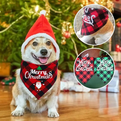 bandana chien noel corgi portant pere noel rouge