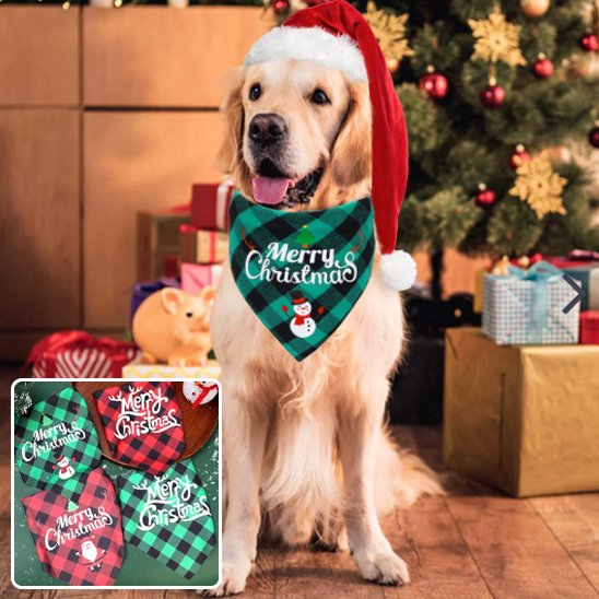 bandana chien noel quatre modeles offert