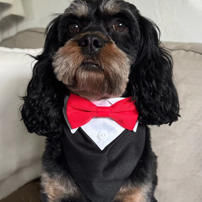 bandana chien smoking boucle rouge chien moyenne taille