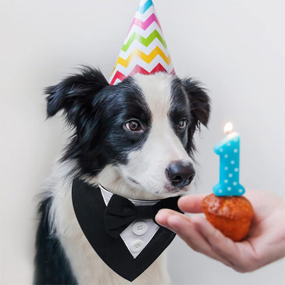 bandana chien smoking moyen chien fete son anniversaire canin