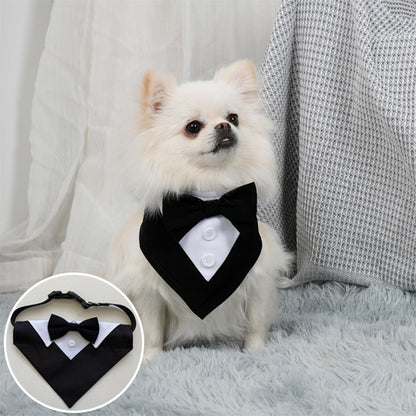 bandana chien smoking petit chien blanc noeud papillon noir