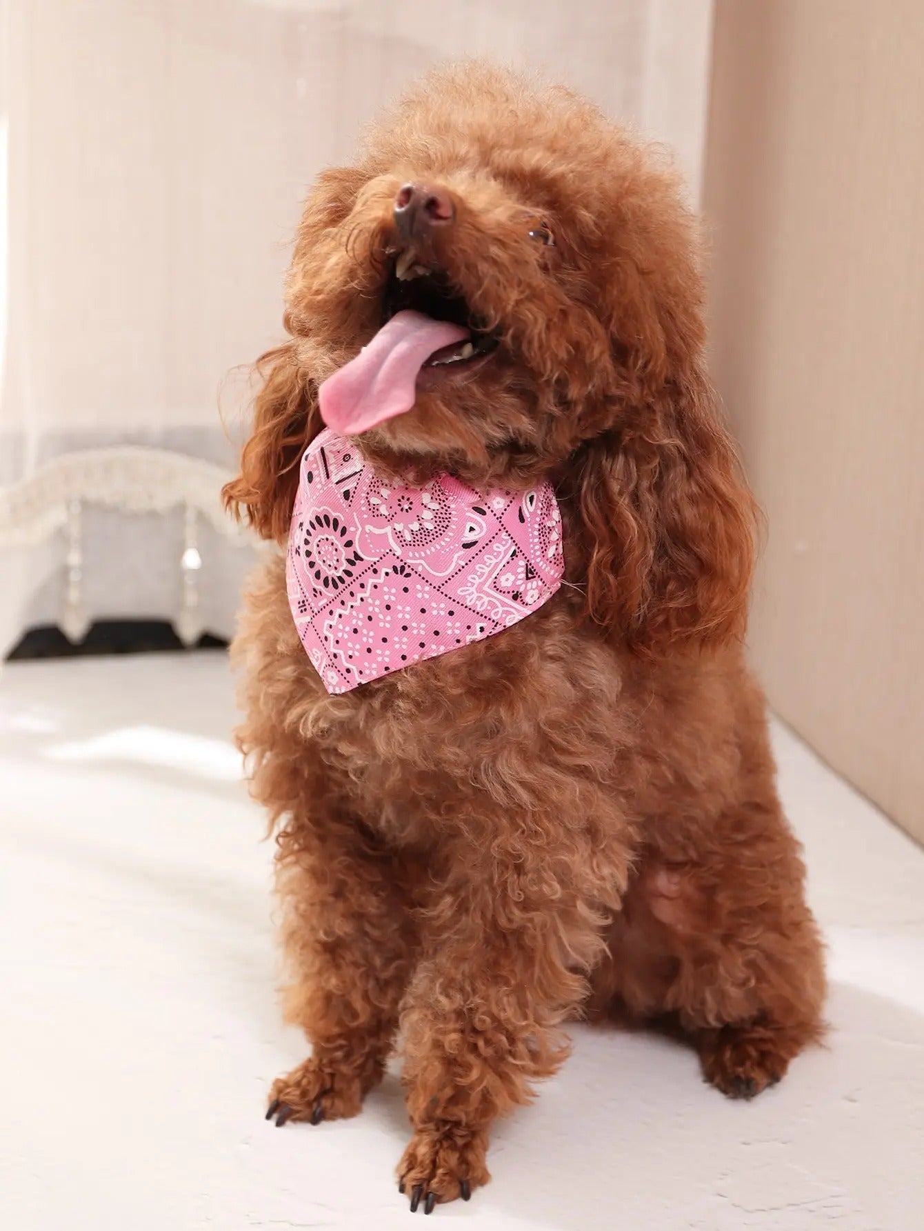 Bandana pour Chien | Doggyscarf™ - PuppyDog Zone