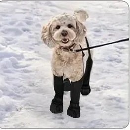 Bottes pour chien | DoggyBoots™ - PuppyDog Zone