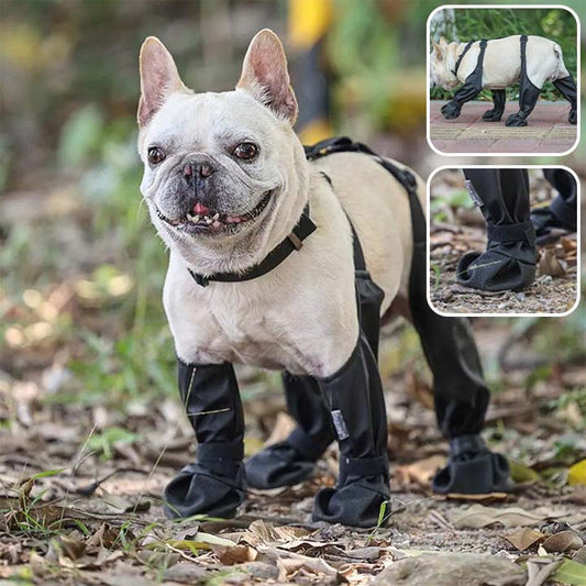 un-chien-bulldog-beige-qui-porte-des-bottes-recouvrant-toute-la-pattes