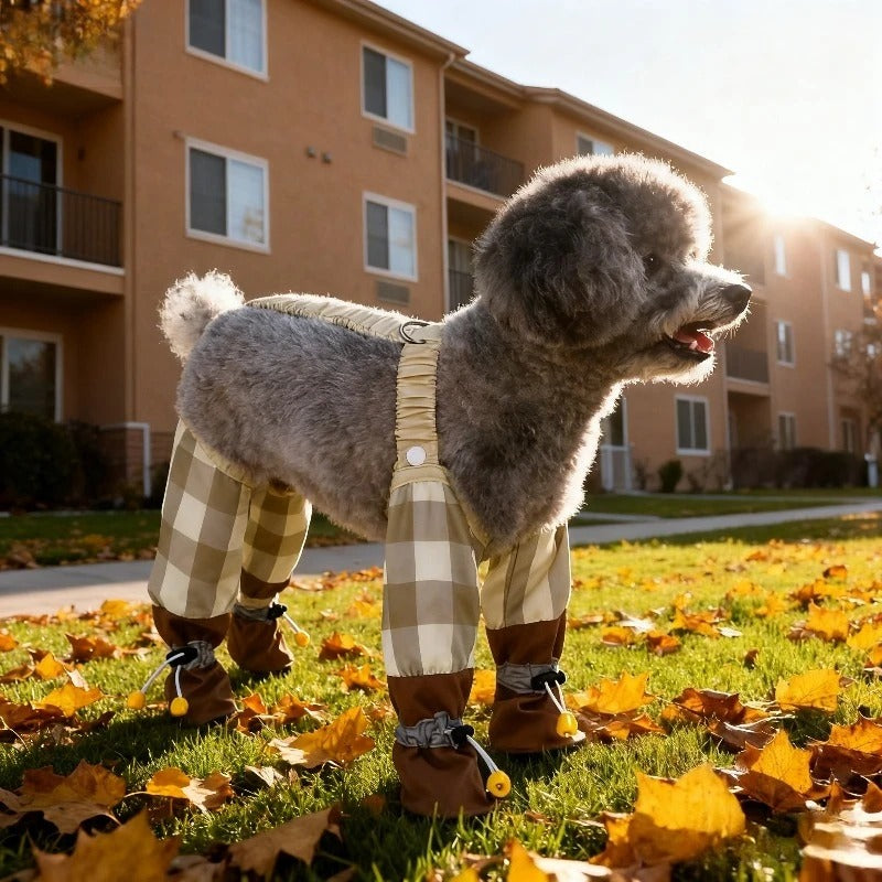 Caniche miniature gris qui porte des bottes pantalon pour chien