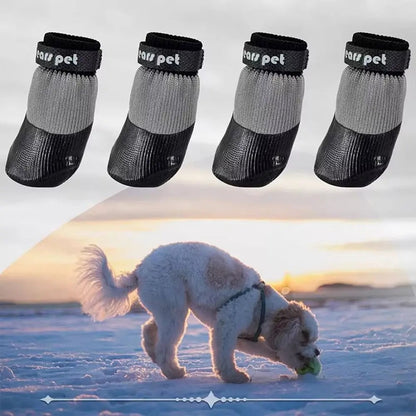 Les bottes pour chien protègent les pattes des surfaces gelées 