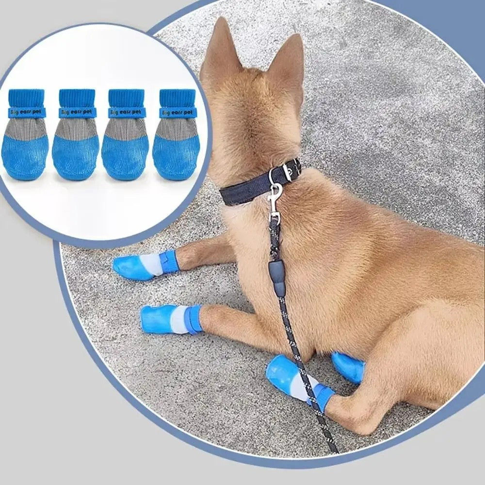 Bottes pour chien protège les pattes des températures changeantes