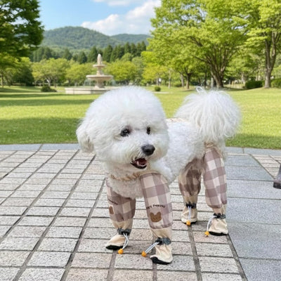 Bottes pour chien variante à carreaux beige