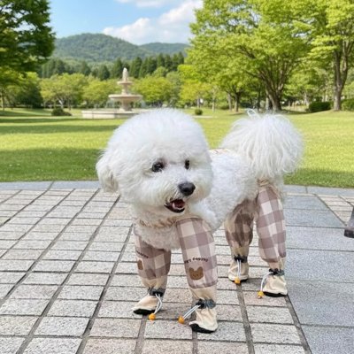 Bottes pour Chien style pantalon à carreau couvrante