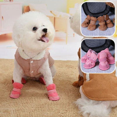 chien-race-coton-de-tuléar-blanc-qui-porte-un-manteau-brun-et-des-bottes-rose