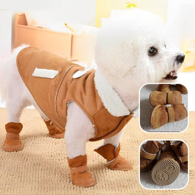 petit-chien-coton-de-tulear-blanc-qui-porte-un-manteau-couleur-café-et-des-bottes-couleur-café