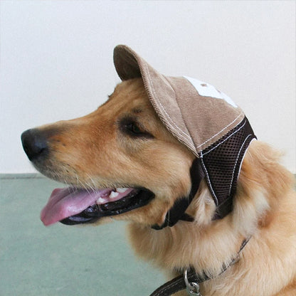 Casquette pour chien