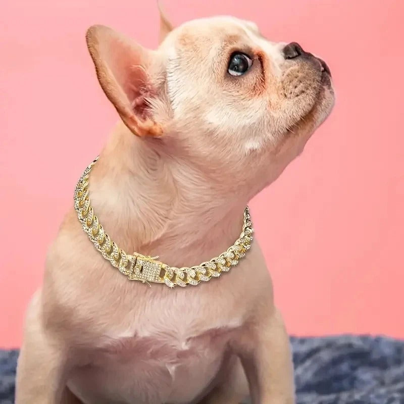 chiot-bulldog-beige-regardant-dans-les-airs-et-il-porte-un-collier-en-or