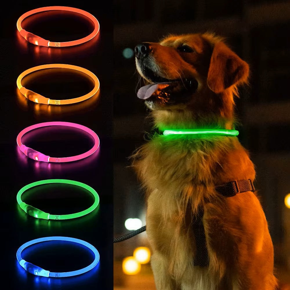 chien-golden-retriever-avec-un-collier-lumineux-vert-et-devant-lui-les-couleurs-de-collier-disponibles-bleu-vert-rose-orange-rouge