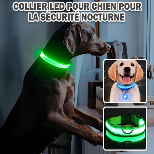 Collier Lumineux pour Chien | DoggyLuminous™ - PuppyDog Zone