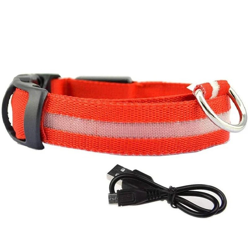 Collier lumineux pour chien rouge rechargeable 