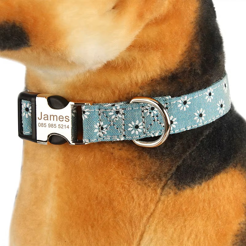 Collier pour chien personnalisé