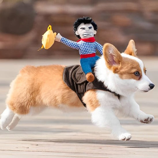 deguisement chien halloween cowboy galopant a dos de chien