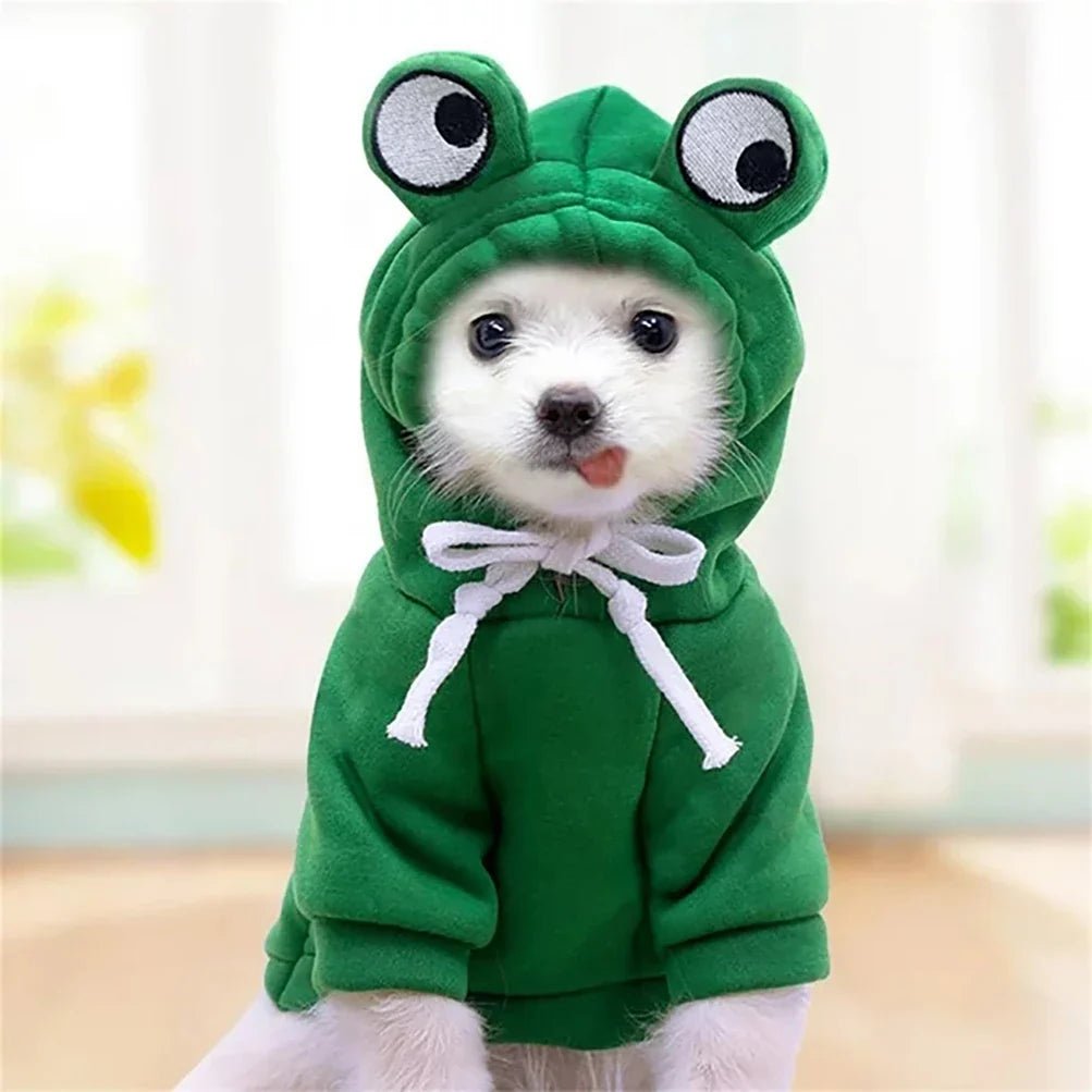 Déguisement chien Halloween | FrogyHoodie™ - PuppyDog Zone
