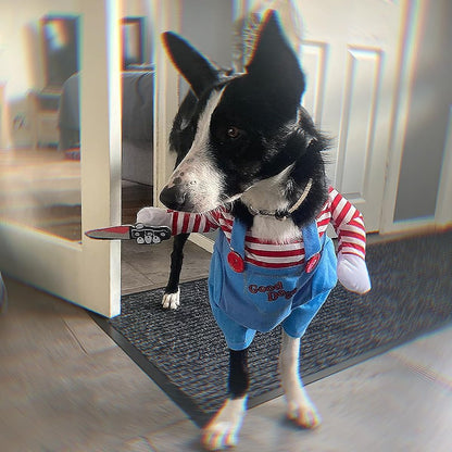 Déguisement  chien Halloween | Poupée Chucky