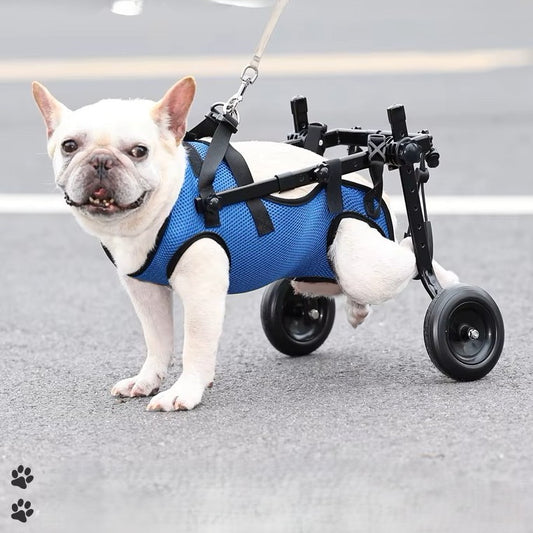 Transport pour chien handicapé, ajustable avec roue remplace pattes arrière  