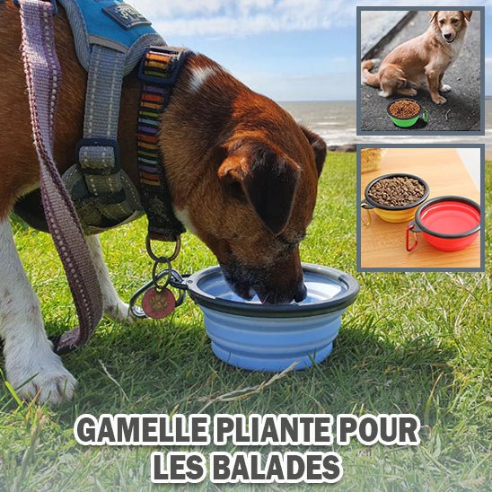 Gamelle pour chien - PetBowlPro™ - PuppyDog Zone