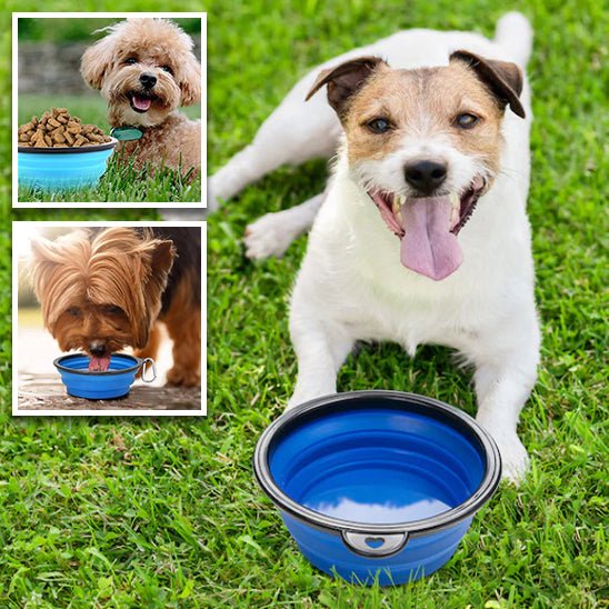 Gamelle pour chien - PetBowlPro™ - PuppyDog Zone