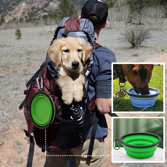 Un chien dans un sac de transport et sa gamelle pliable en silicone accroché au sac
