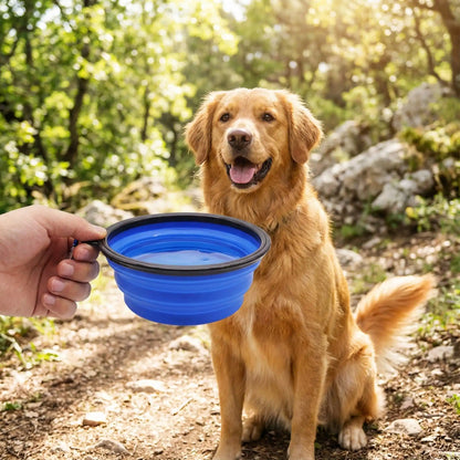 Gamelle pour chien en silicone bleue