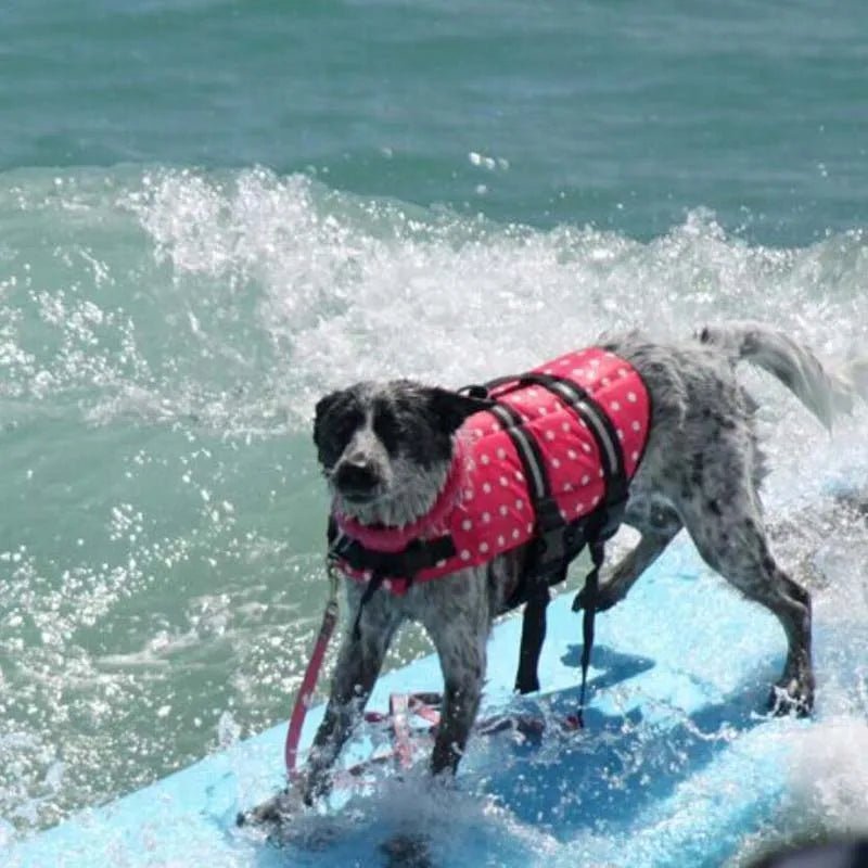 Gilet de Sauvetage pour Chien - DoggyAqua™ - PuppyDog Zone