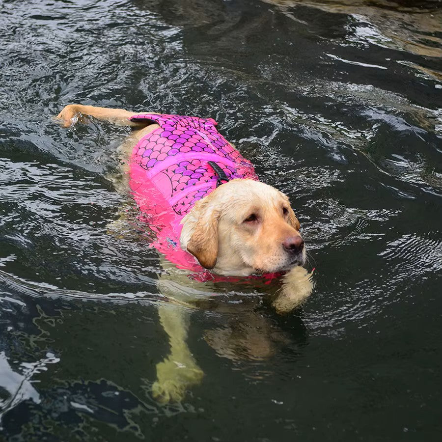 Gilet de Sauvetage pour chien (requin/sirène)